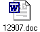 12907.doc
