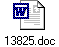 13825.doc