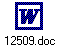 12509.doc