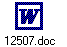 12507.doc